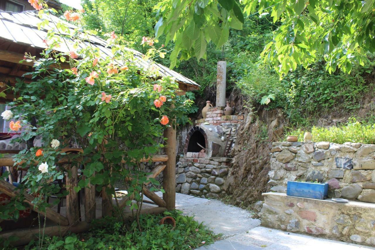 ホテル Nikala'S House ボルジョミ エクステリア 写真
